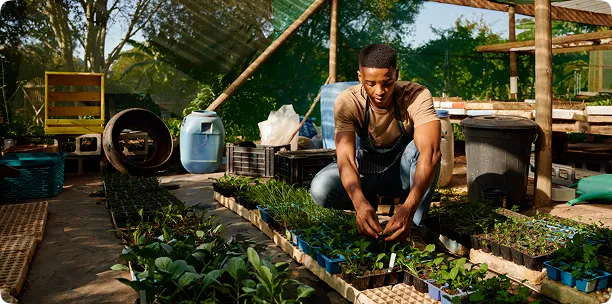 Man tending to seedlings in a greenhouse, surrounded by various plants and gardening supplies, illustrating agricultural practices for maximizing produce freshness and reducing waste.