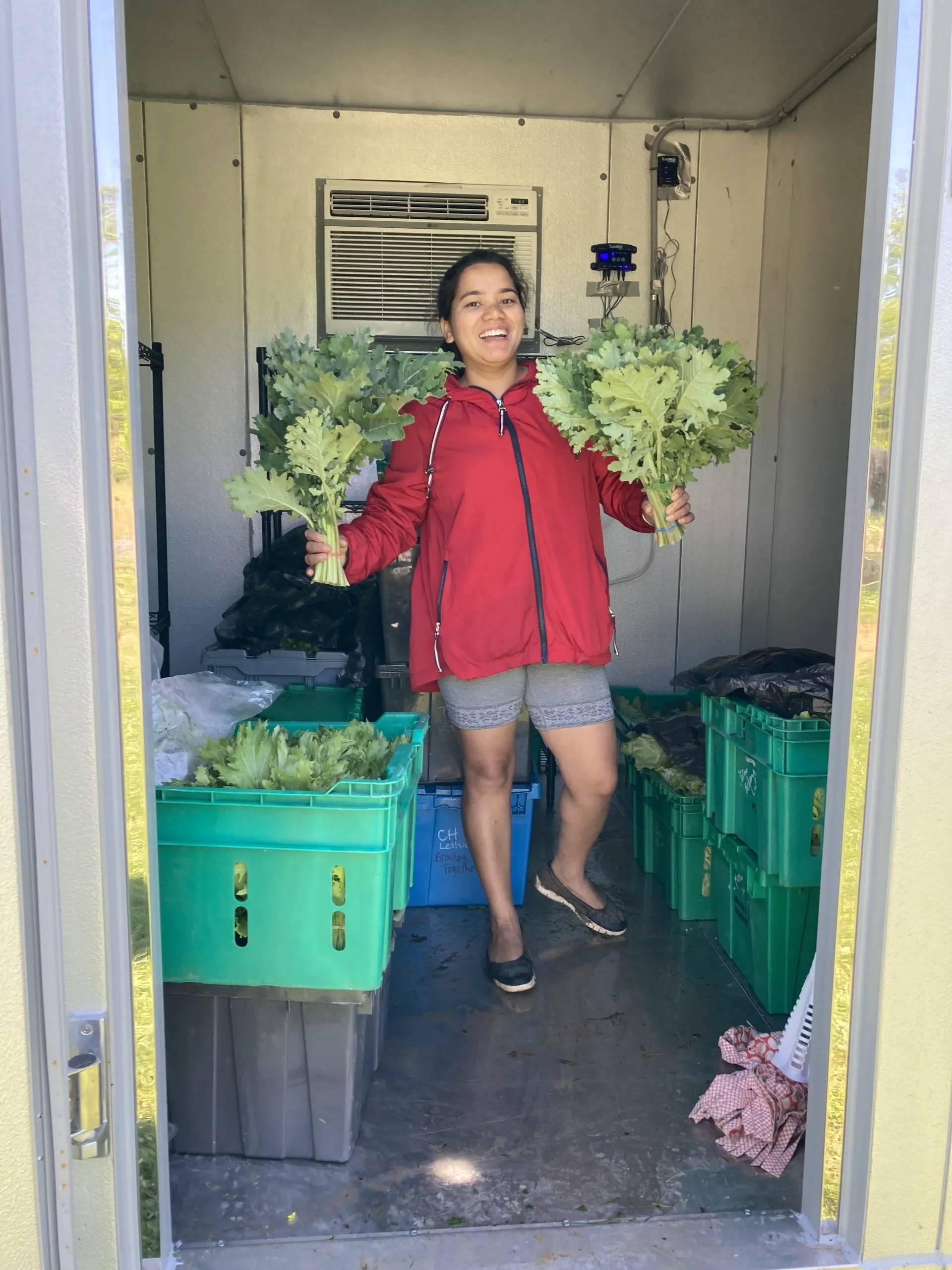 Woman smiling in a red jacket holding fresh kale in front of a CoolBot cold storage unit, surrounded by green produce bins, illustrating onsite cold storage for local farmers.