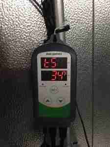 INKBIRD temperature sensor displaying current temperature of 69°F and set value of 34°F, mounted in a cooler environment, relevant for CoolBot temperature calibration instructions.