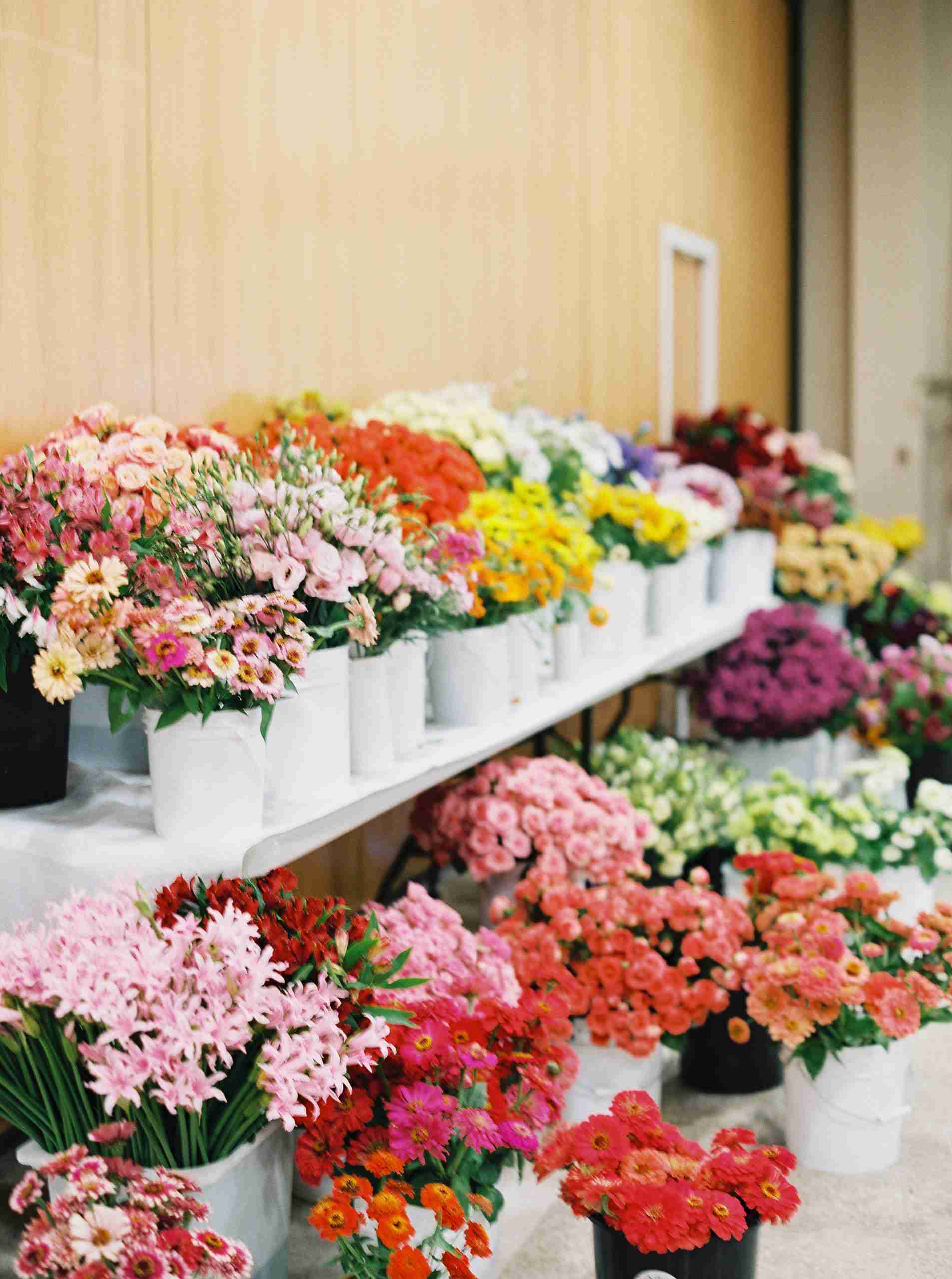 Colorful display of fresh flowers in various arrangements, showcasing vibrant blooms in pots, representing floral inventory for businesses utilizing CoolBot cooling solutions.